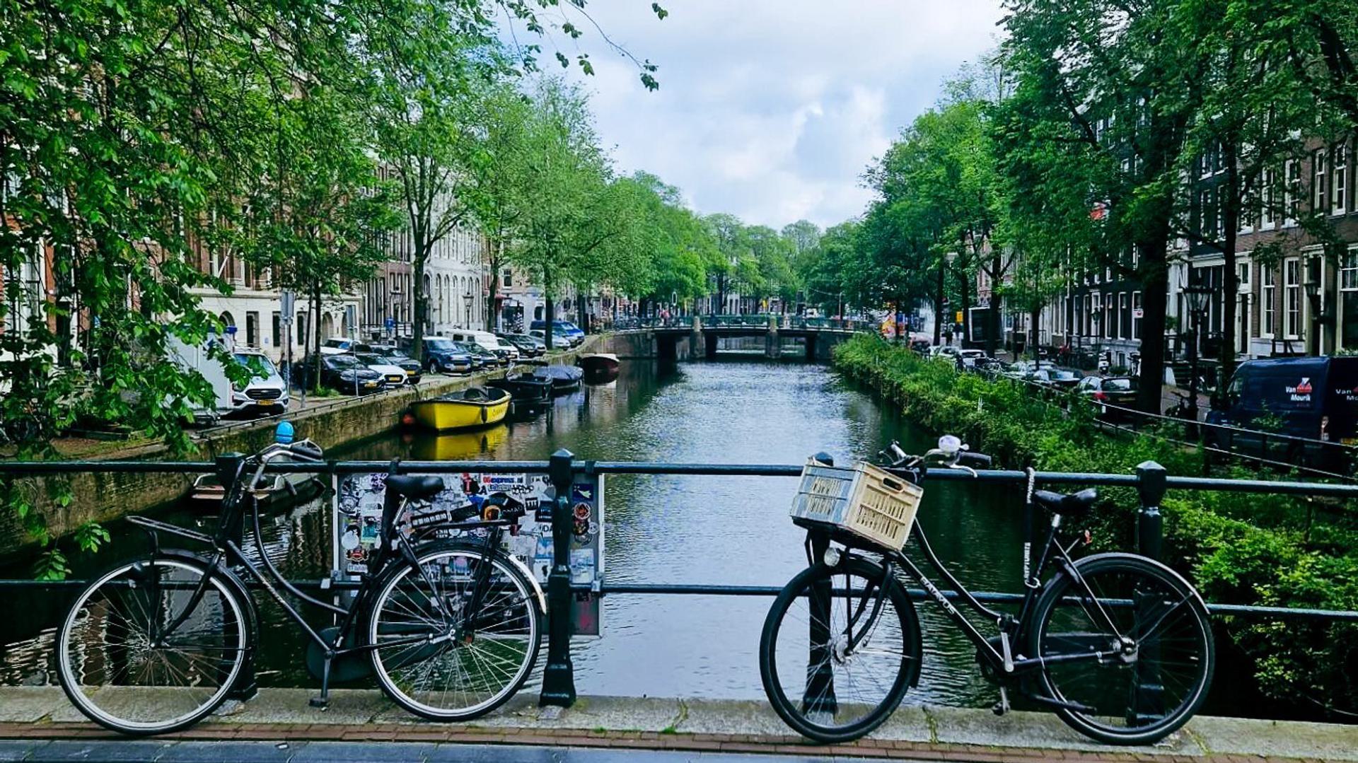 Two bicycles parked on a bridge over a canal in a Amsterdam, with trees lining the canal and other bridges visible in the background.
