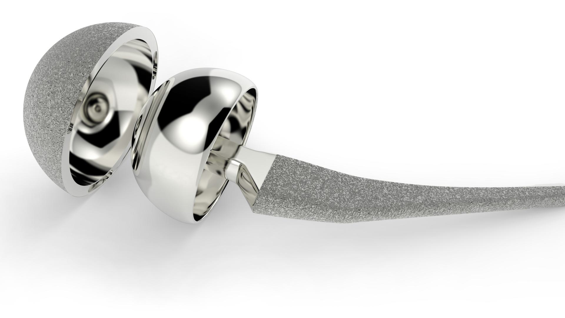 Hip Implant 1 1