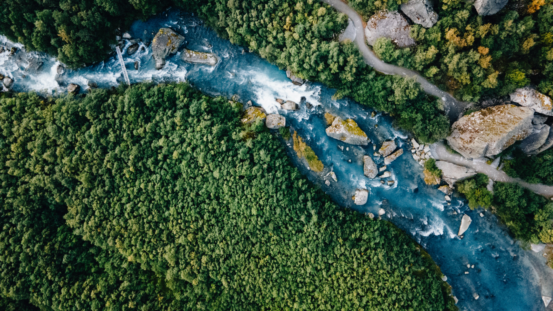 An aerial view of a lush, green forest with a river flowing through it. The river is dotted with large rocks and boulders, creating rapids and waterfalls.