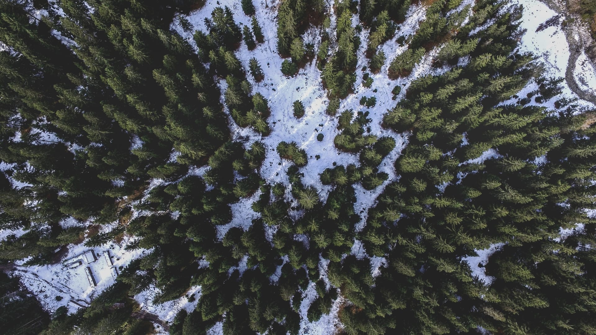 Aerial photo of a forest with patches of snow on the ground.