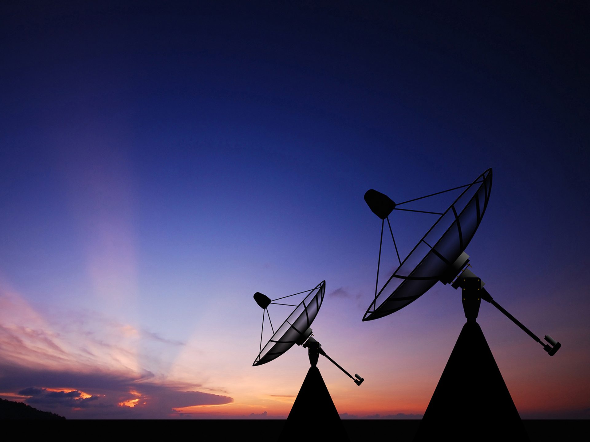 Nsslglobl company photo