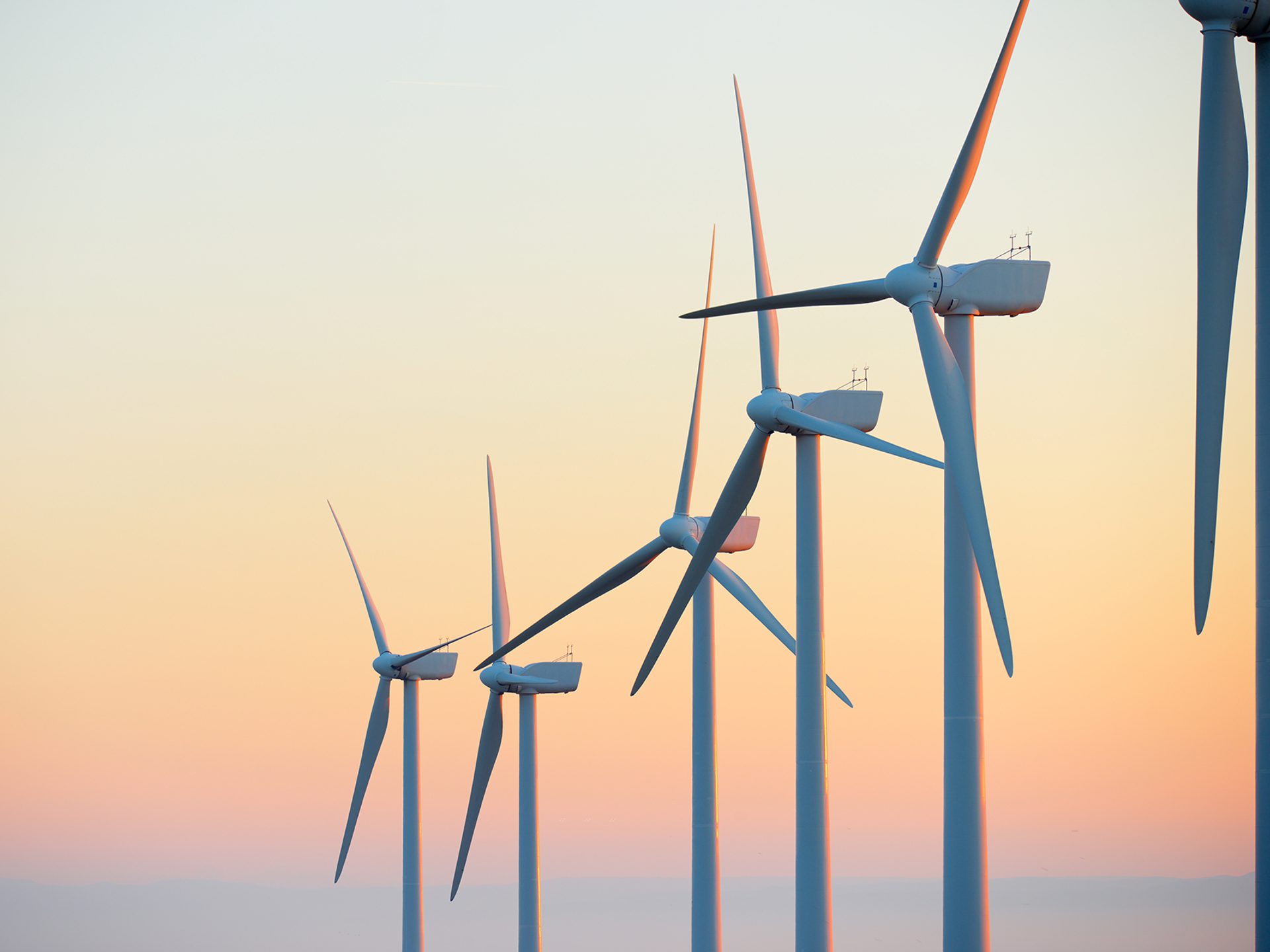 Volue company photo 2